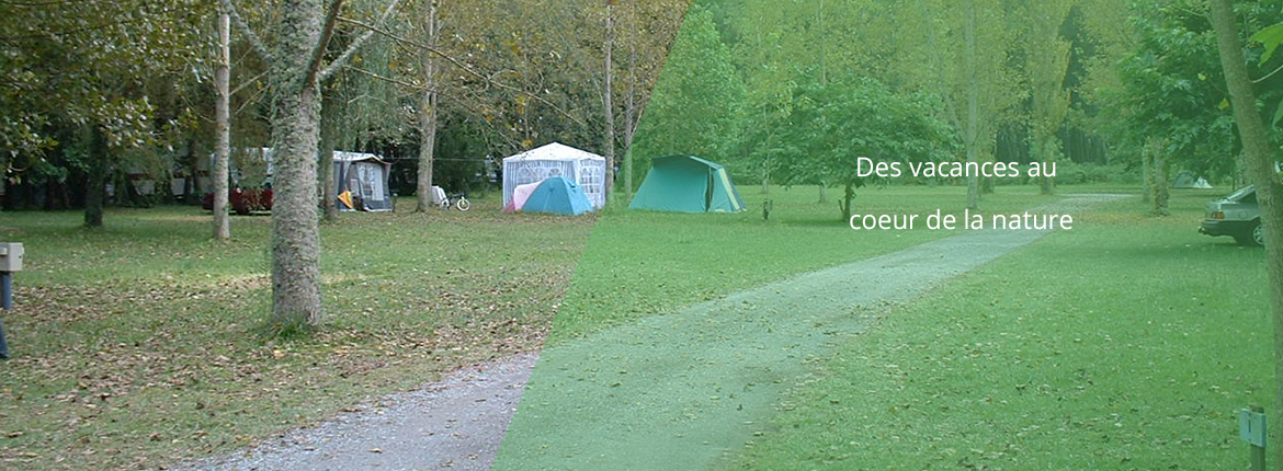 Aire naturelle de camping Pesson